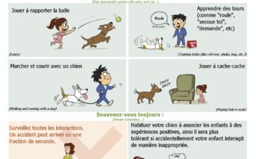 Les interactions entre l'enfant et le chien (2)