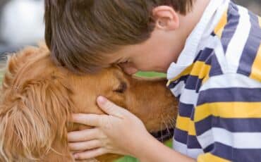 Comment réussir la cohabitation entre l'enfant et le chien?