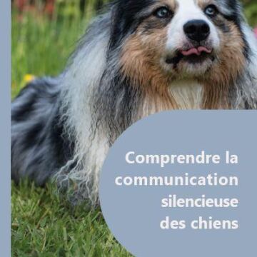 Comprendre la communication silencieuse des chiens