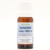 Huile essentielle de lavande – Lavandula angustifolia 1800m Astérale