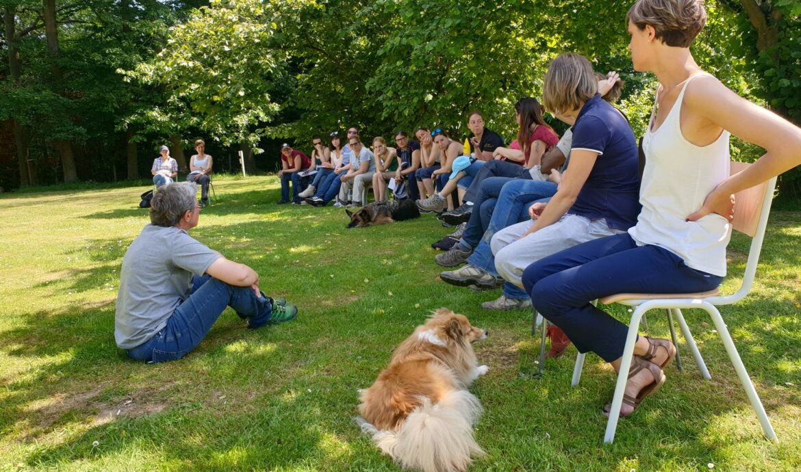 Formation professionnelle de Consultant en éducation et comportements canins