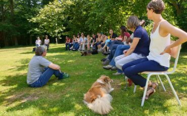 Formation professionnelle de Consultant en éducation et comportements canins